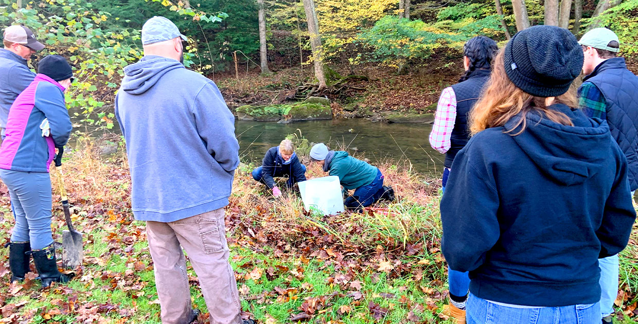 Volunteers planting by stream
