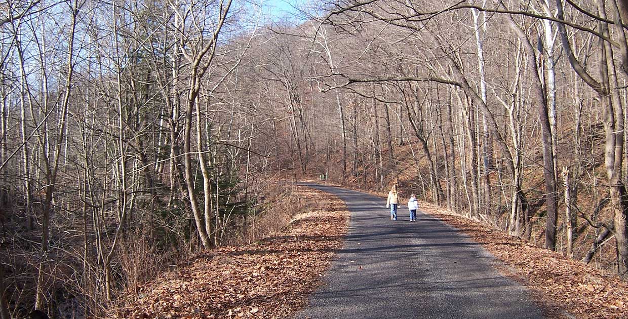 2 people walking on a trail
