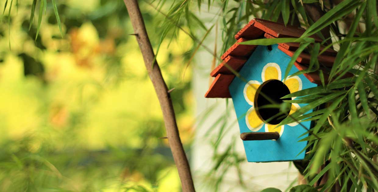 Bright colored bird house