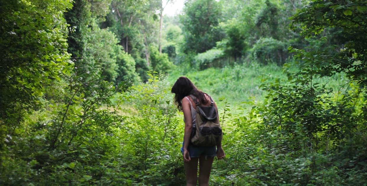 Person in nature